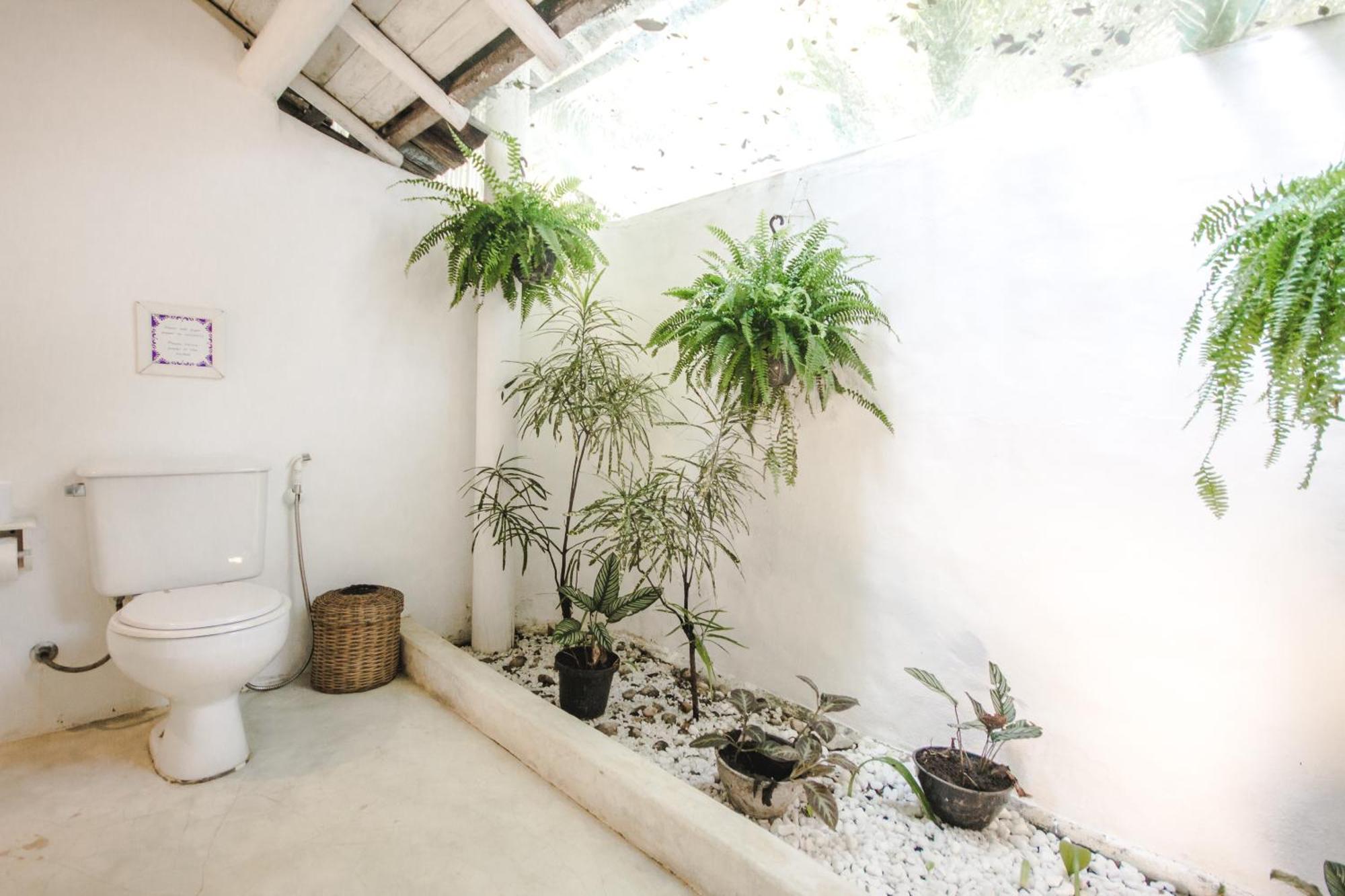 Pousada Capim Santo Trancoso Bagian luar foto